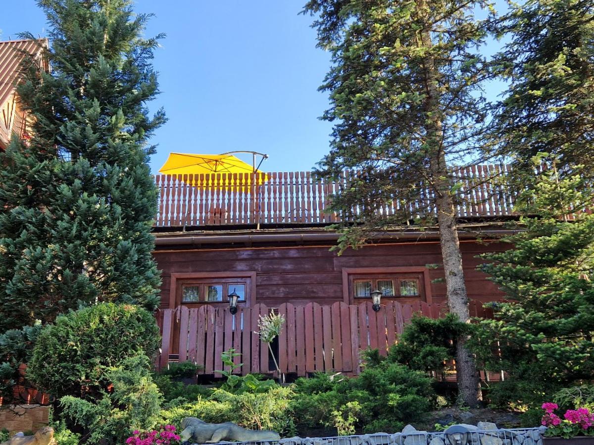 Willa Pod Piórem Zakopane Exterior foto